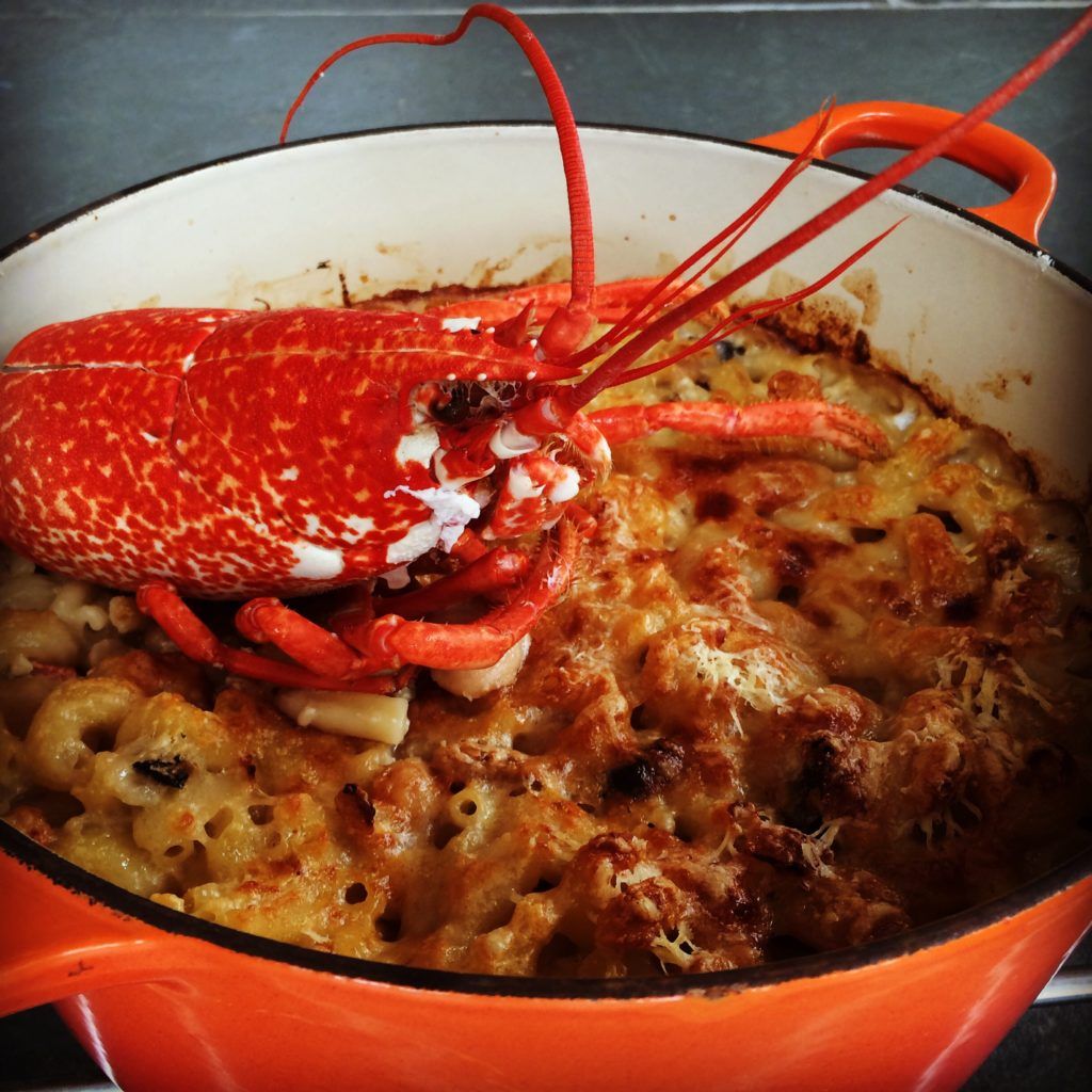 Celebratory lobster macaroni cheese!