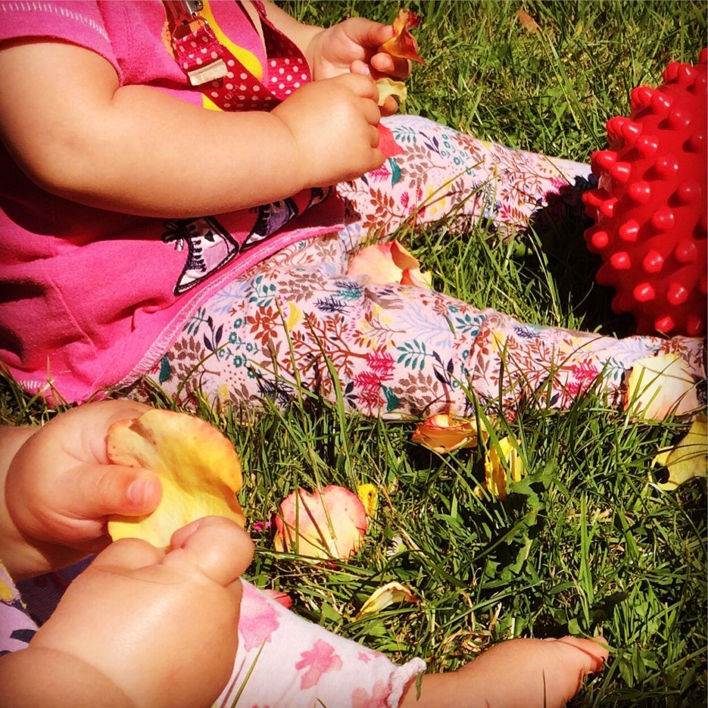 The Rose petals. Great for sensory play (touch / smell / visual / taste!)