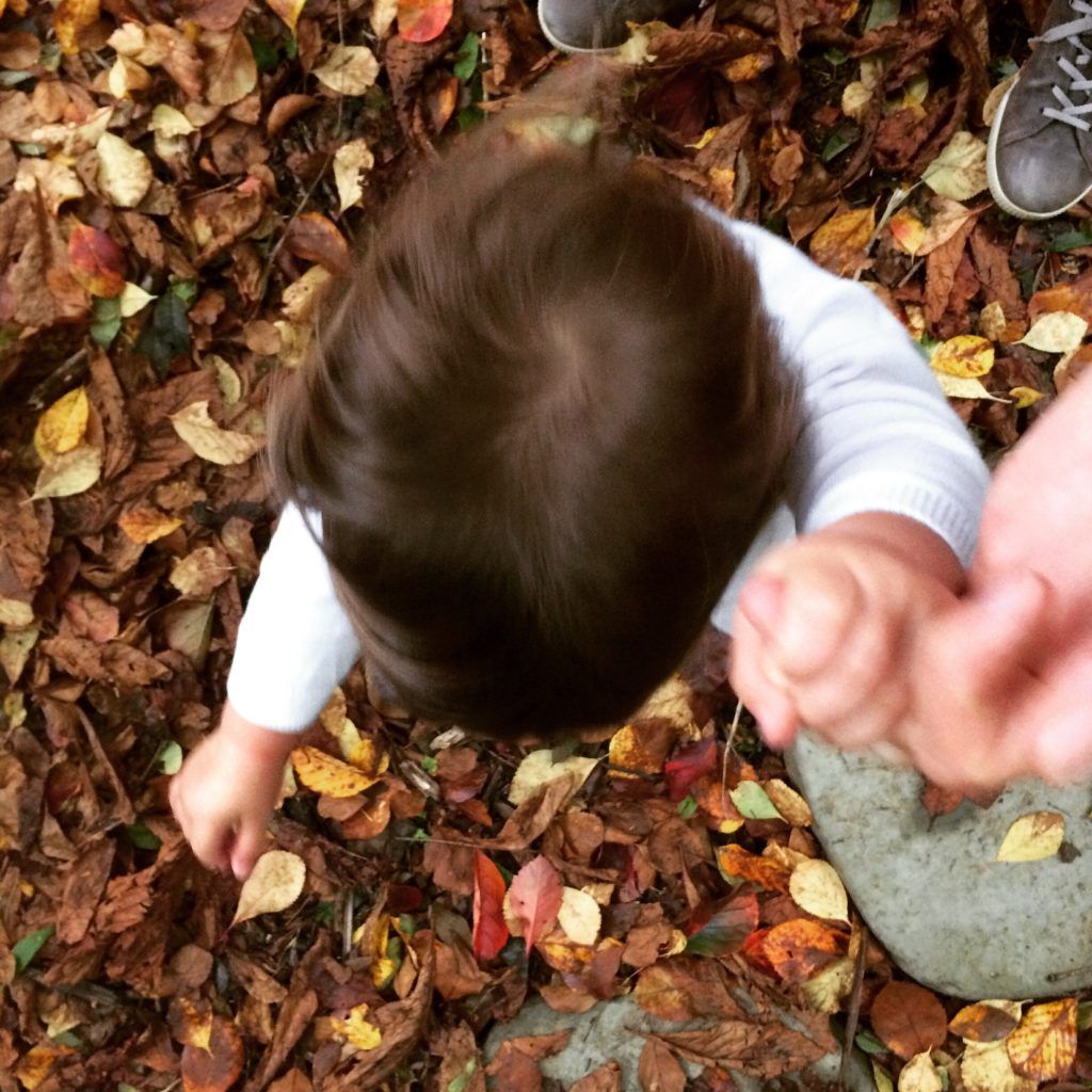 Enjoying Autumn 🍂 