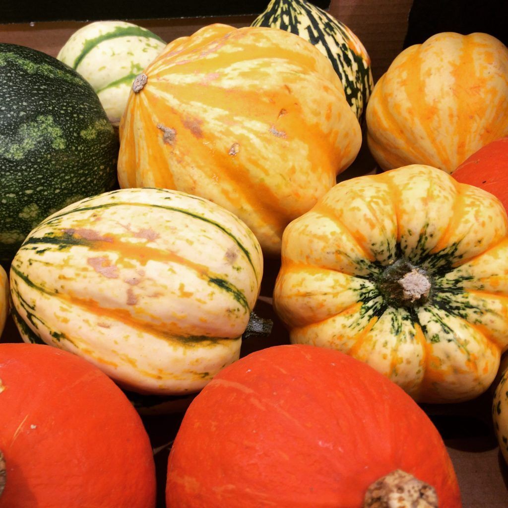 Happy Halloween 🎃