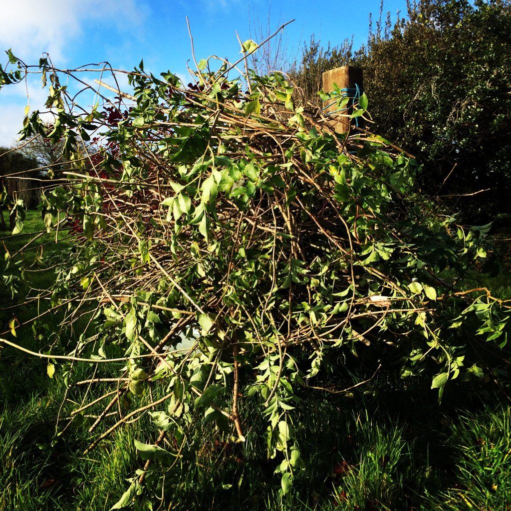 Incorporating activity into your day