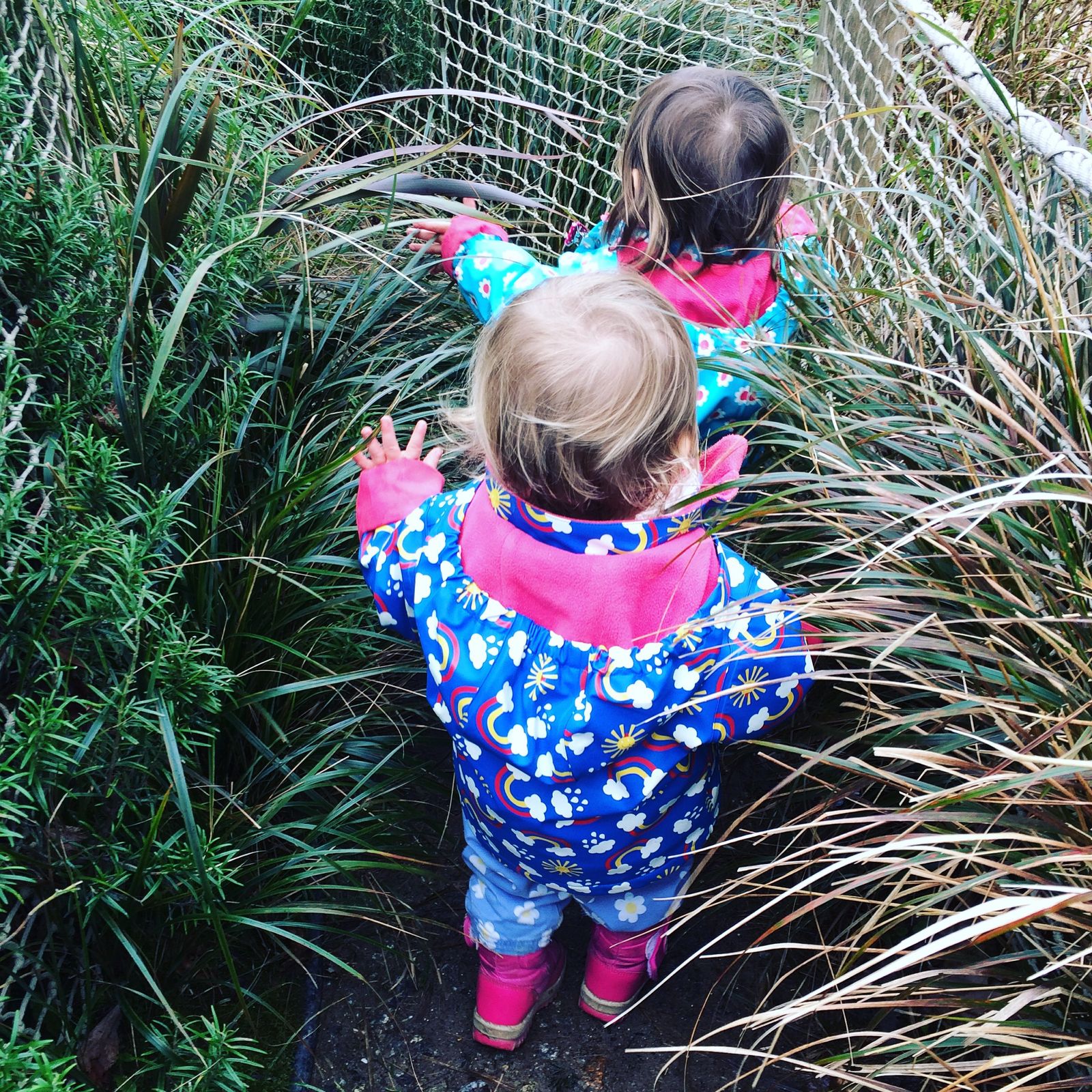 We’re going on a bear hunt…