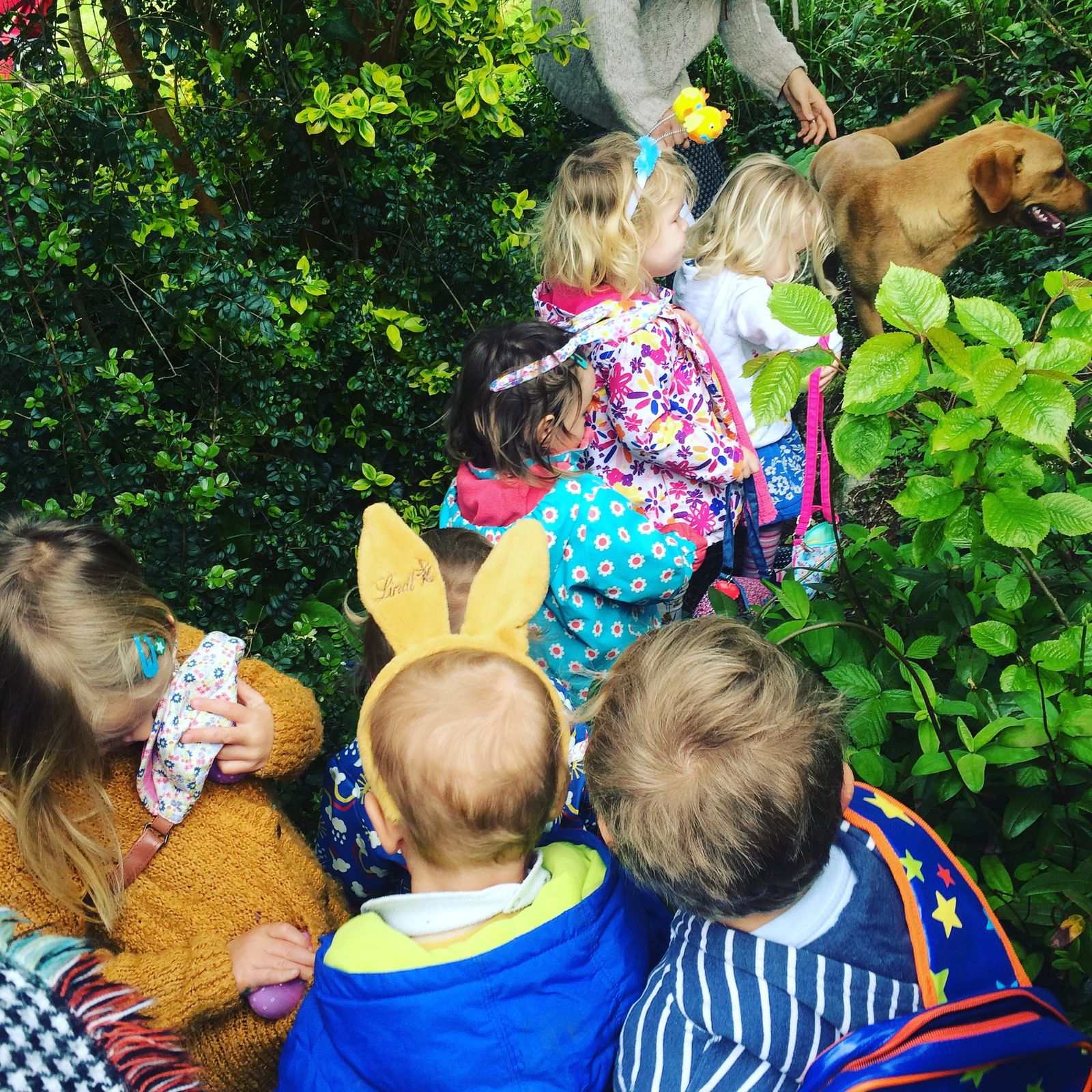 Bunny ears on and off they go