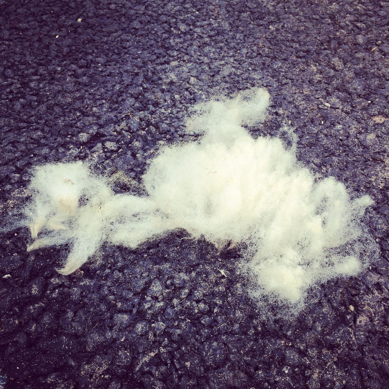 Can you guess what’s going on? The is a ‘how country are you?’ test 😂