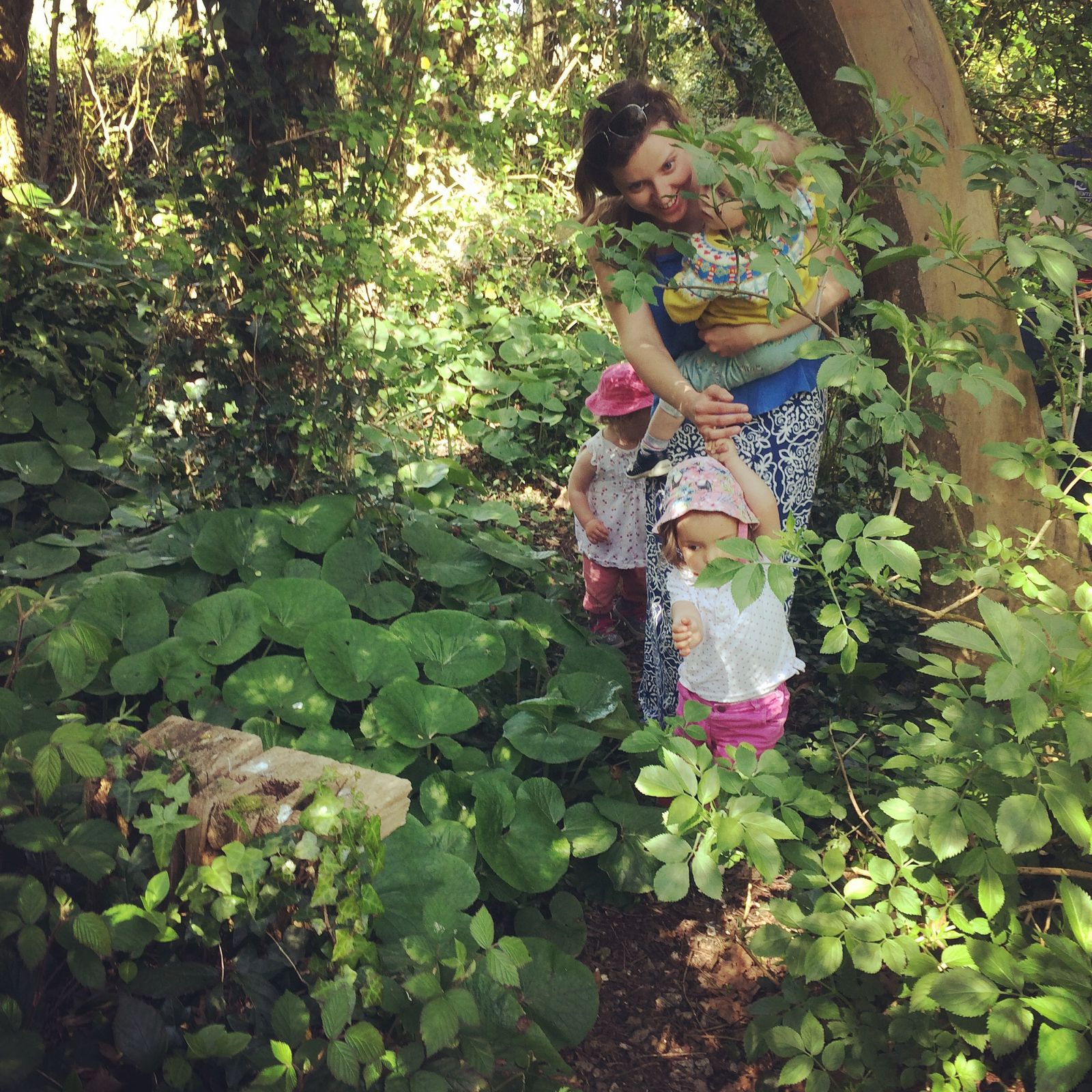 ‘Grow the right plants and flowers rather than worrying about putting bird seed out everyday’