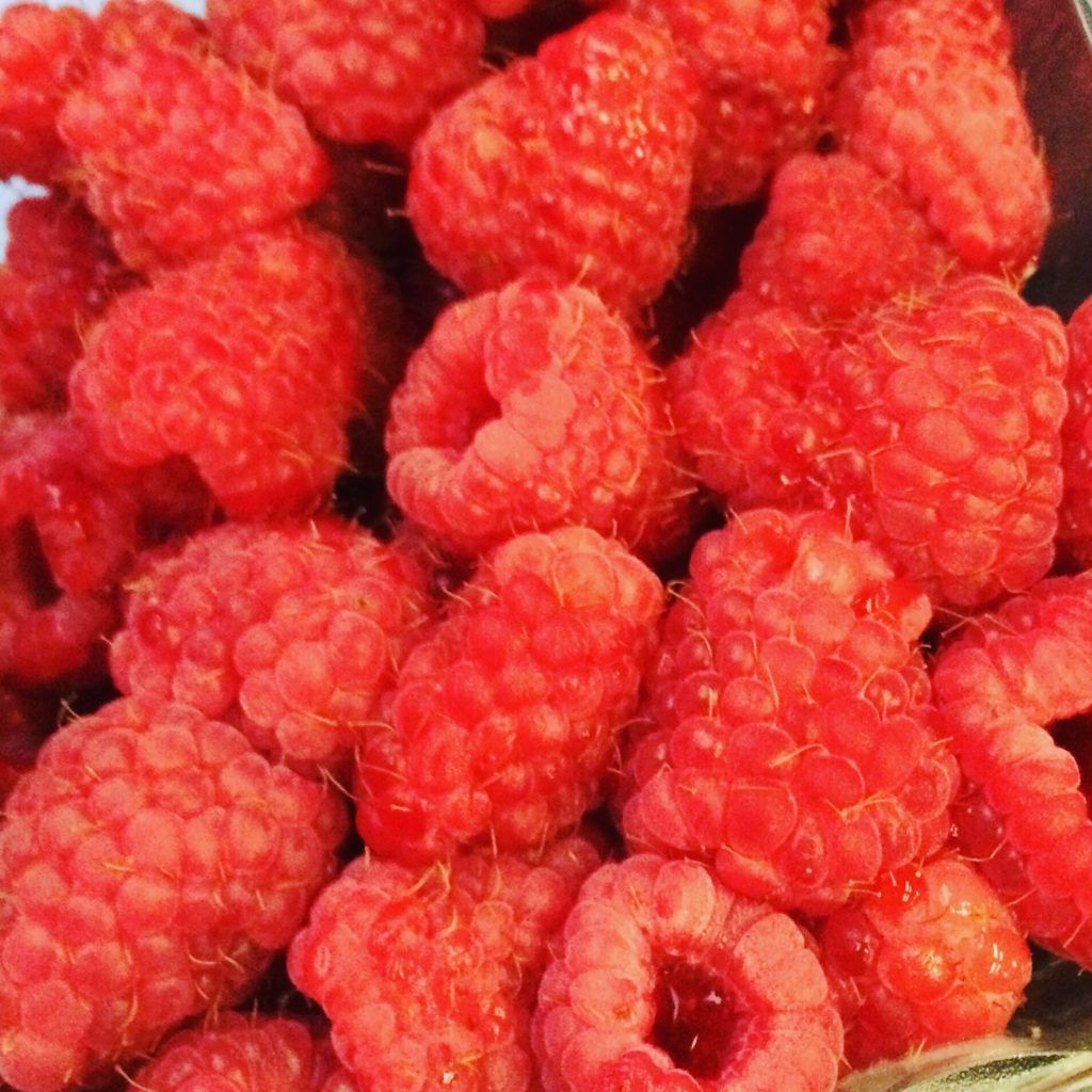 Aren’t raspberries great?!