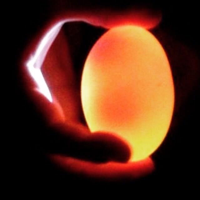 Eggcellent, a triple yolker!