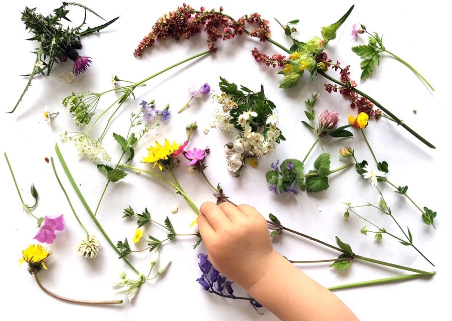 Looking for a half term activity to get everyone active and interested?