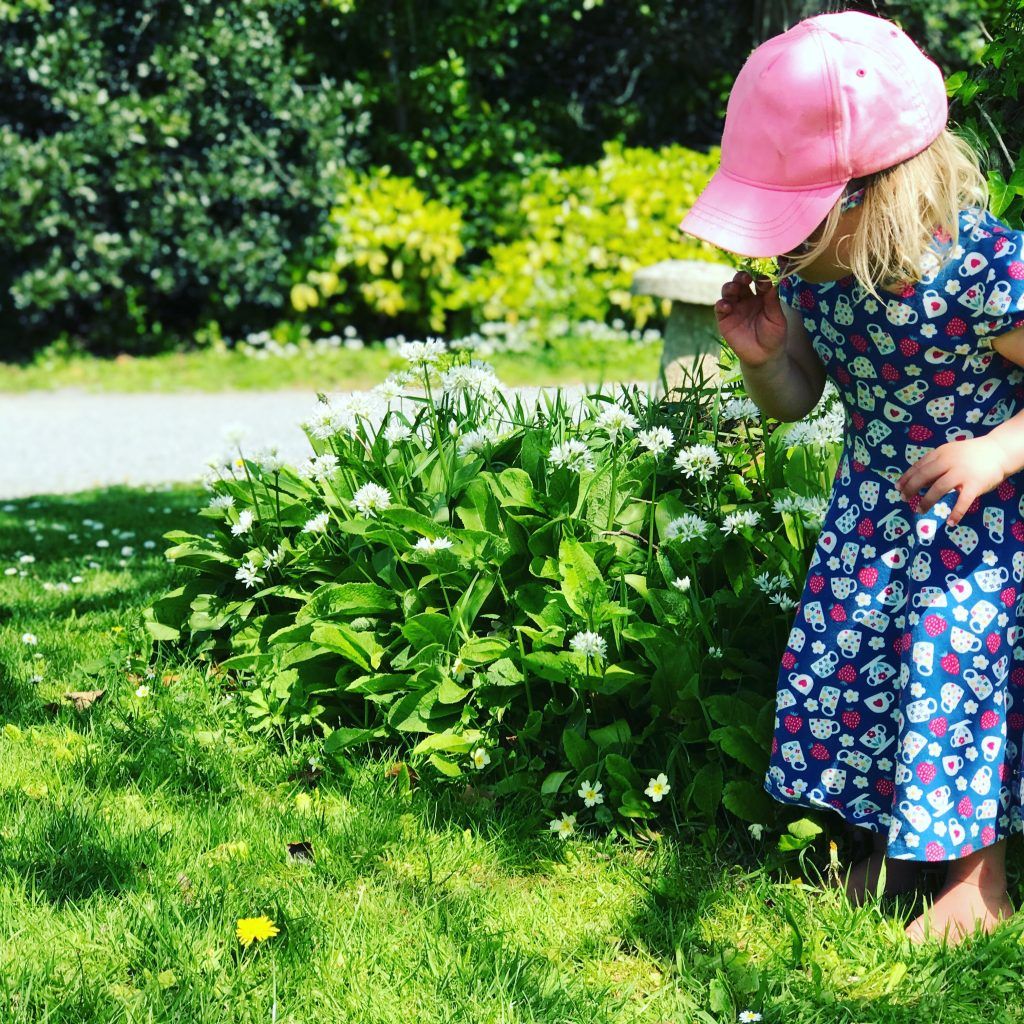 Enjoying the wild garlic