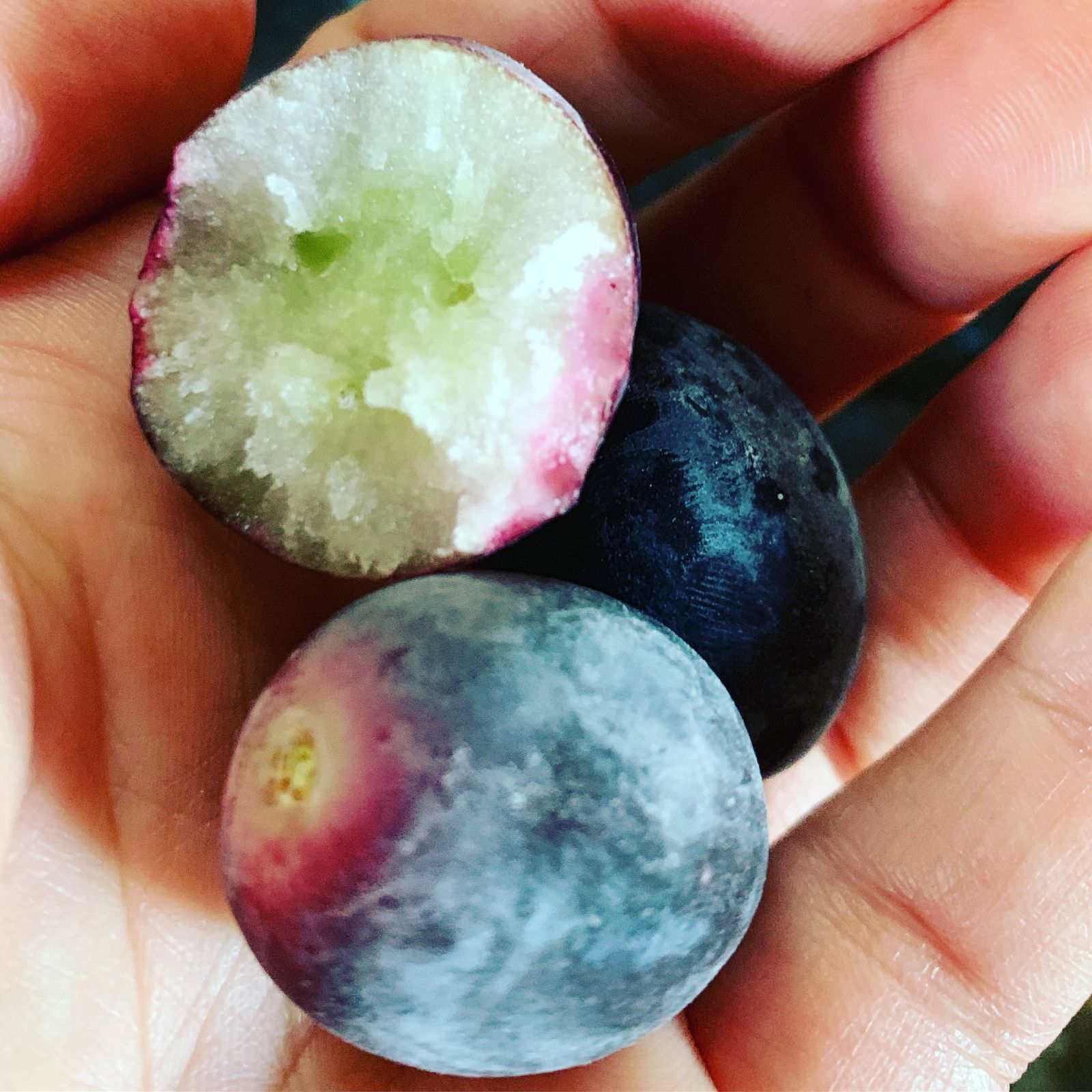 Fancying something sweet & refreshing but still healthy?