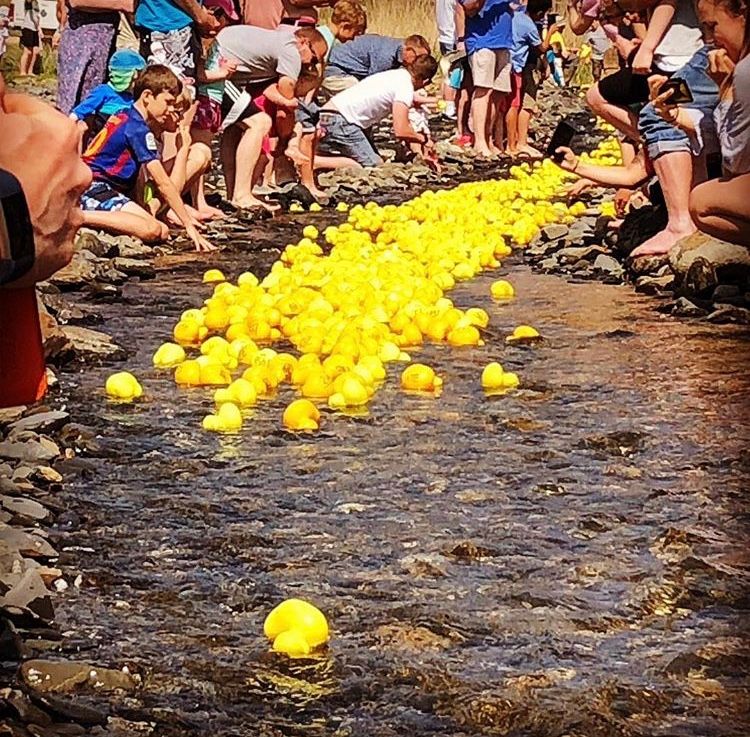 Duck racing fun