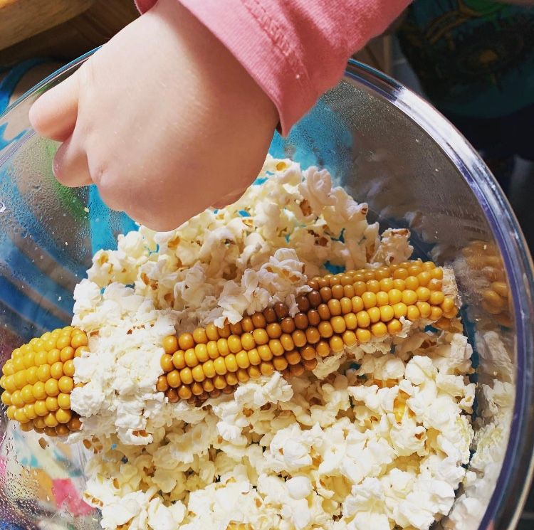 One ingredient pop corn! 🌽