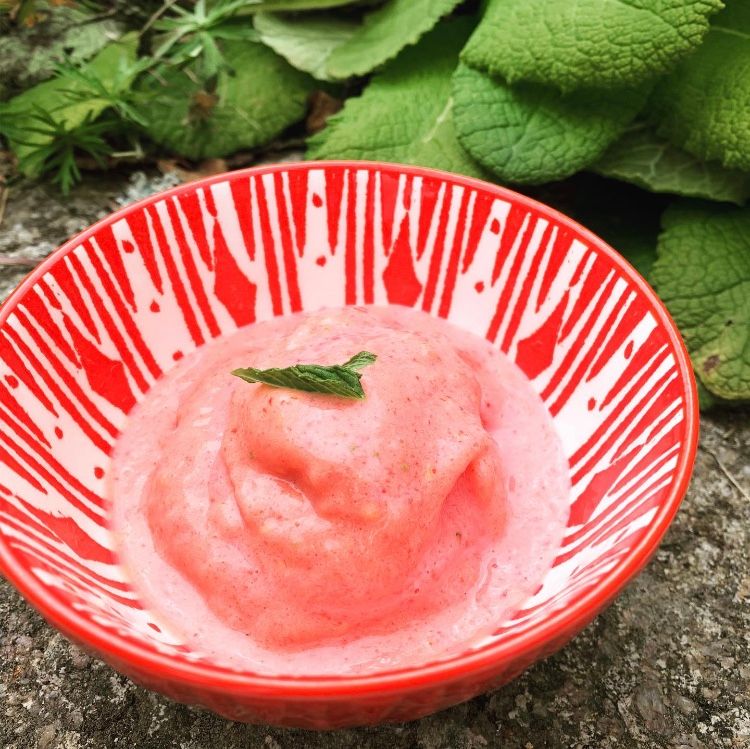 Ice-cream loved by your good bacteria